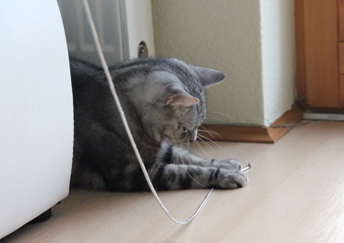 Eine Katze liegt auf dem Boden und hat eine Schnur in den Pfoten
