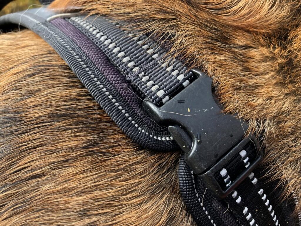 Nahaufnahme des extra Verschlusses im Halsbereich vom AllDay Adventure Hundegeschirr von Truelove. Beschriftung lautet: Die Verschlüsse an deinem Hundegeschirr sollten robust sein und fest verschließen.