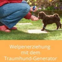 Frau füttert Zwerpudel Welpen